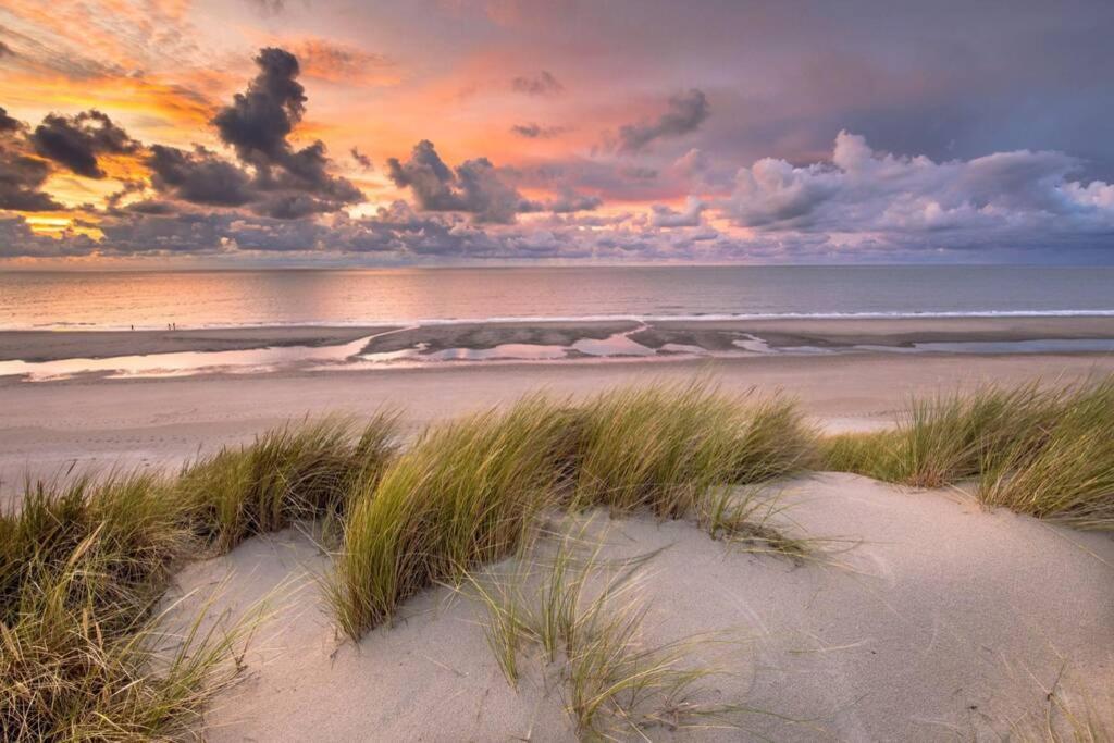 Biervliet Vakantiehuis Vlakbij Het Strand En Natuur 빌라 외부 사진